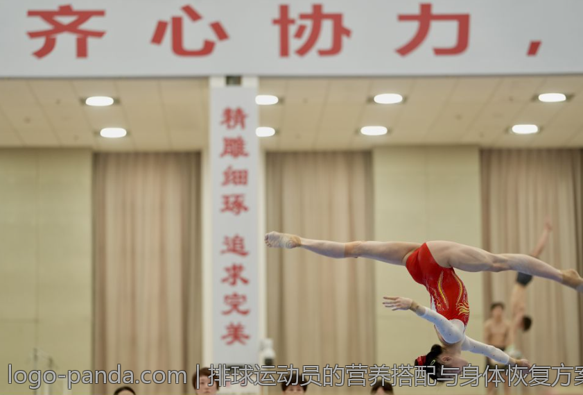 排球运动员的营养搭配与身体恢复方案