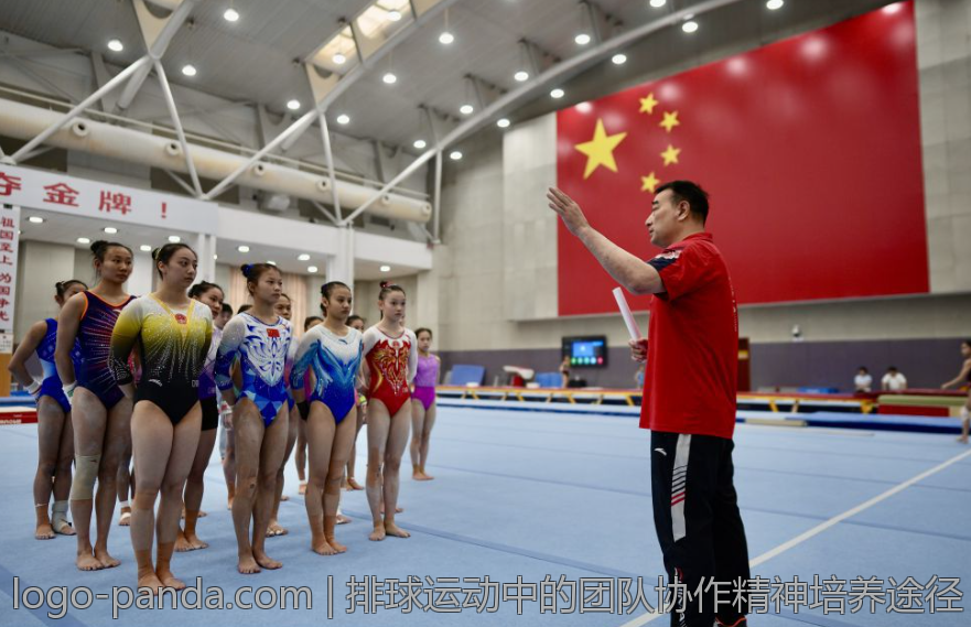 排球运动中的团队协作精神培养途径
