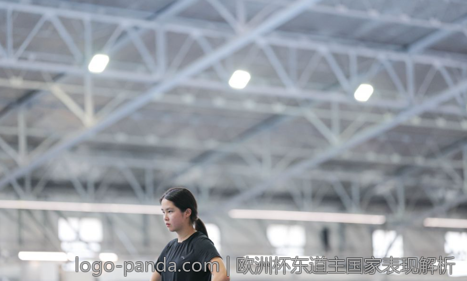 欧洲杯东道主国家表现解析