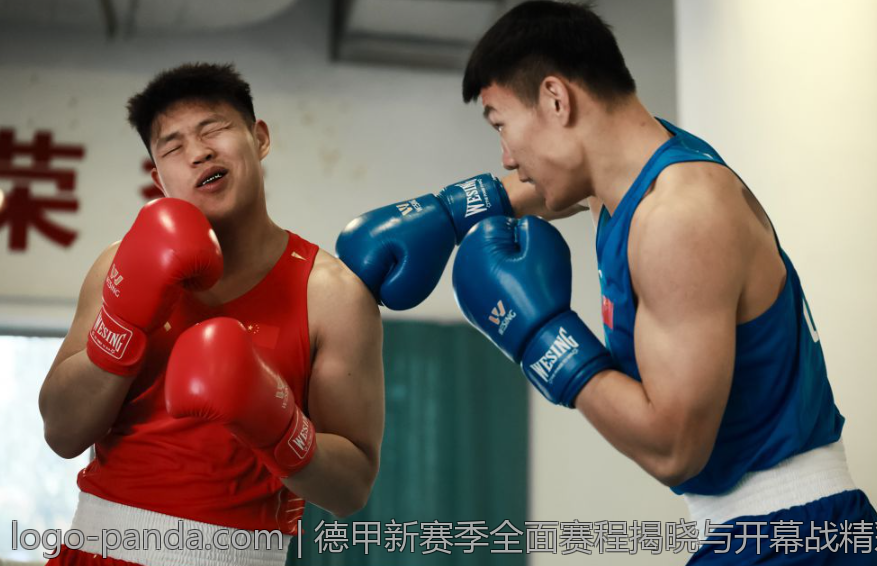 德甲新赛季全面赛程揭晓与开幕战精彩瞬间回顾