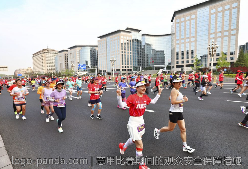 意甲比赛期间的观众安全保障措施